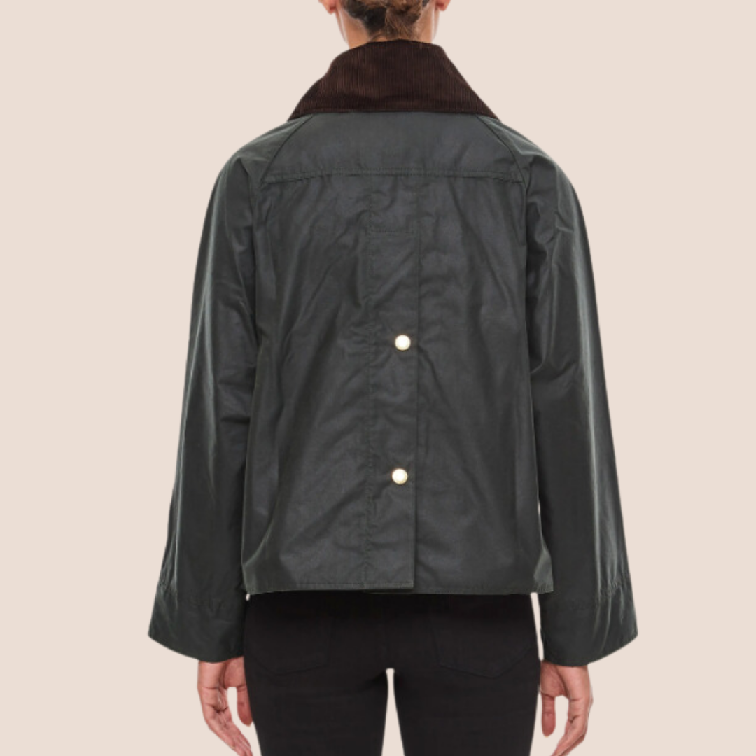 Veste CATTON WAX - Barbour